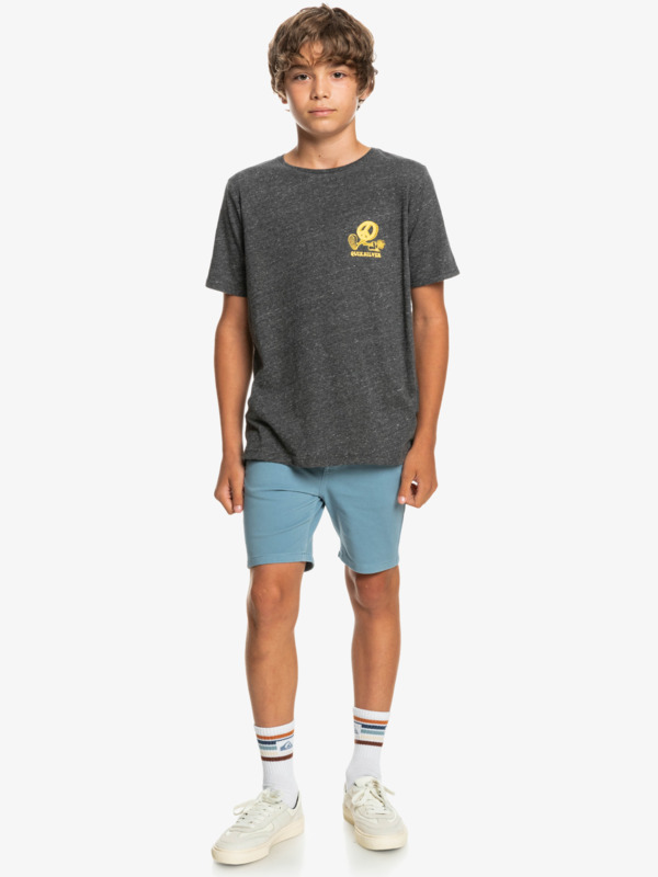 New World - Short Sleeve T-Shirt for Boys 8-16  EQBZT04438