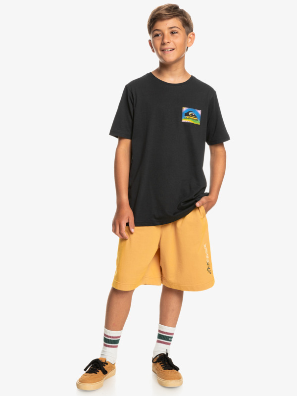 Colour Flow - T-Shirt for Boys 8-16  EQBZT04598