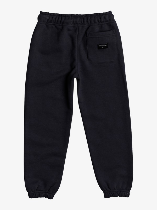 Download Boys 2-7 Trackpant Jogger EQKFB03092 | Quiksilver