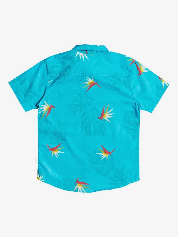 surfers paradise shirt