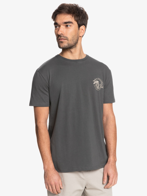 quiksilver waterman t shirt