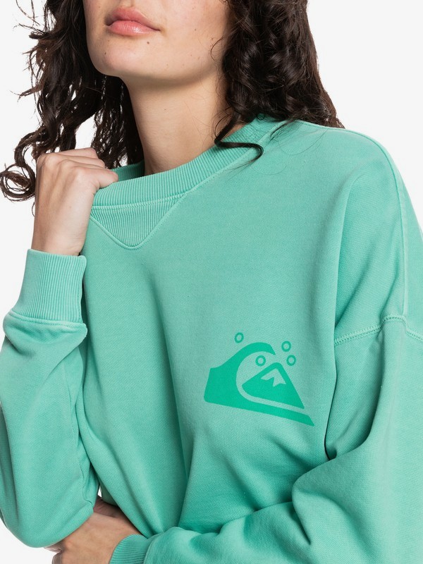 organic sweatshirt