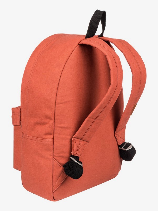 Everyday Poster Canvas 25L Medium Backpack 3613375033138 Quiksilver