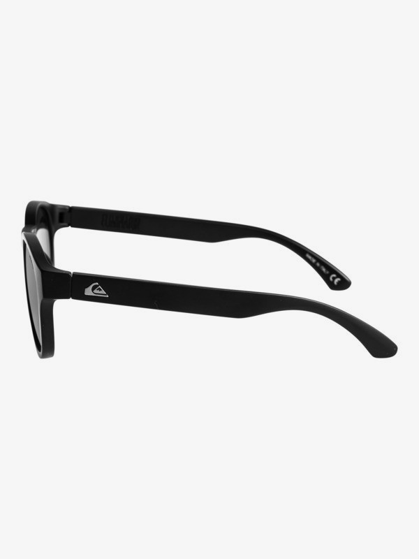 Eliminator Polarized - Sunglasses for Men  EQYEY03151