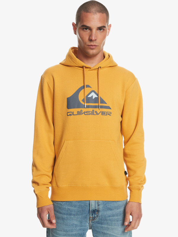 Big Logo - Fleece for Men  EQYFT04450