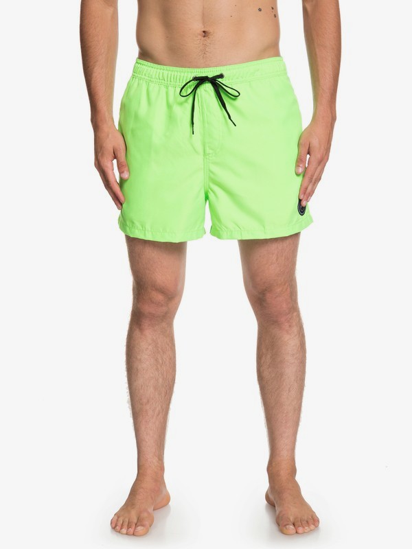 Everyday 15" - Swim Shorts For Men 3613374269897 | Quiksilver