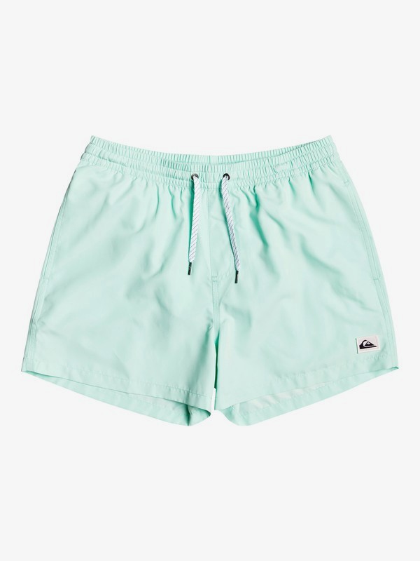 Everyday 15" - Swim Shorts for Men  EQYJV03531