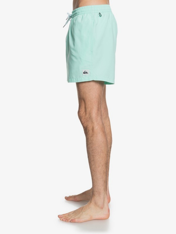 Everyday 15" - Swim Shorts for Men  EQYJV03531
