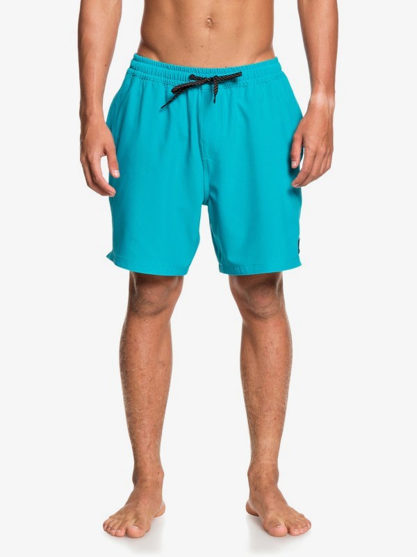 Swim Shorts 3613375082105 | Quiksilver