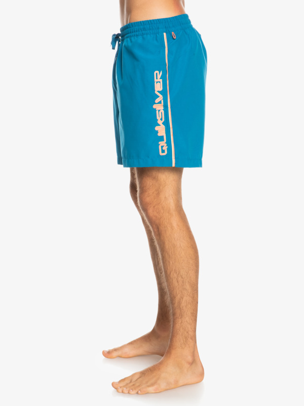 Everyday Vert 16" - Swim Shorts for Men  EQYJV03883