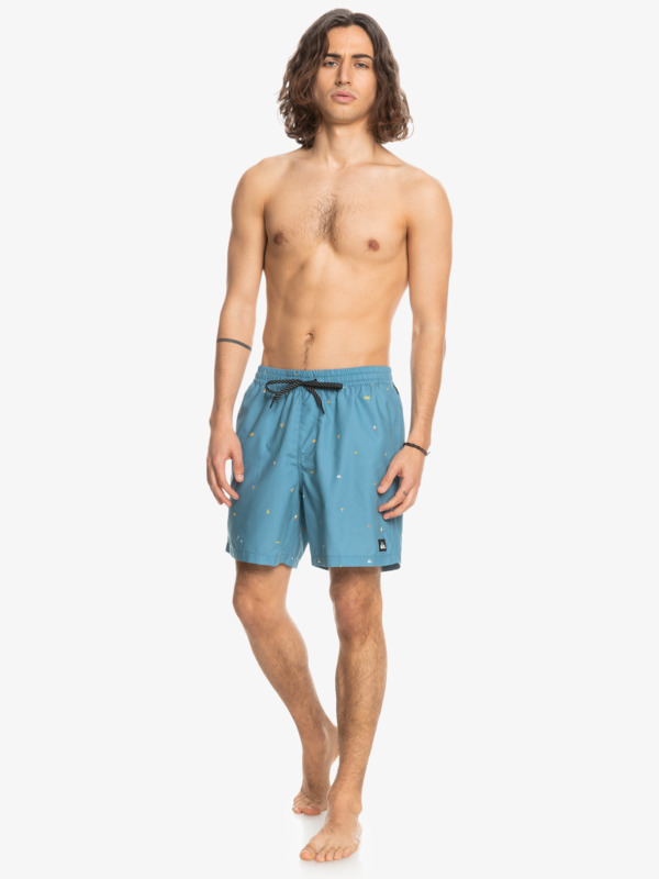 Everyday Mix 17" - Swim Shorts for Men  EQYJV03919
