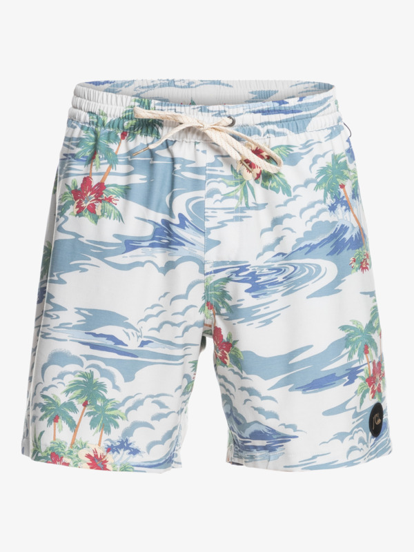 Cloud 9 Pcs 17" - Swim Shorts for Men  EQYJV03971
