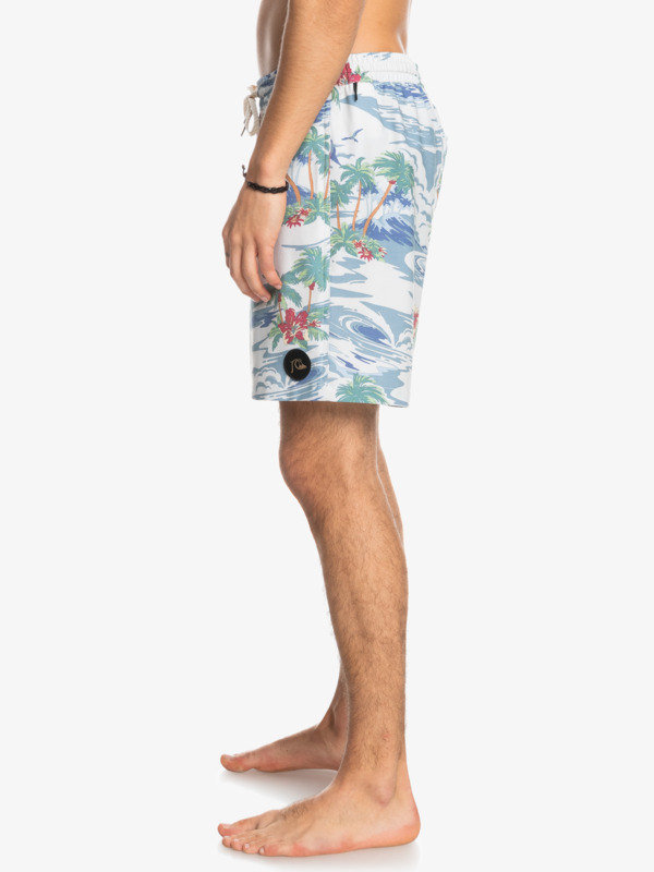 Cloud 9 Pcs 17" - Swim Shorts for Men  EQYJV03971