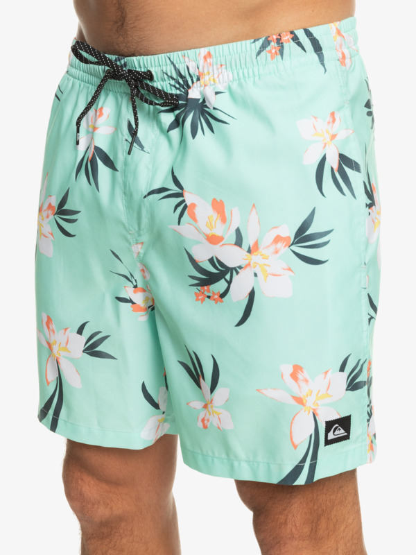 Everyday Mix 17" - Swim Shorts for Men  EQYJV04002