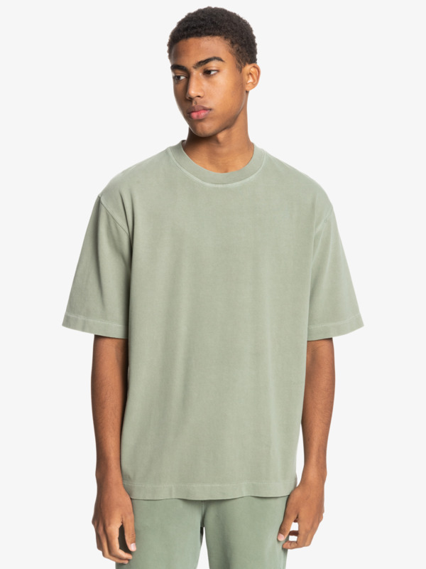 Mens General Echo Organic T-Shirt 3613376138337 | Quiksilver