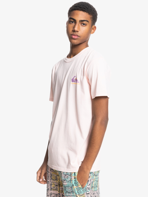 Mineral - Organic T-Shirt for Men  EQYKT04133