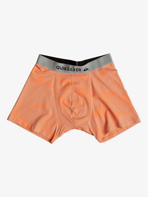 Boxer Poster Boxer Briefs 3613371983154 Quiksilver