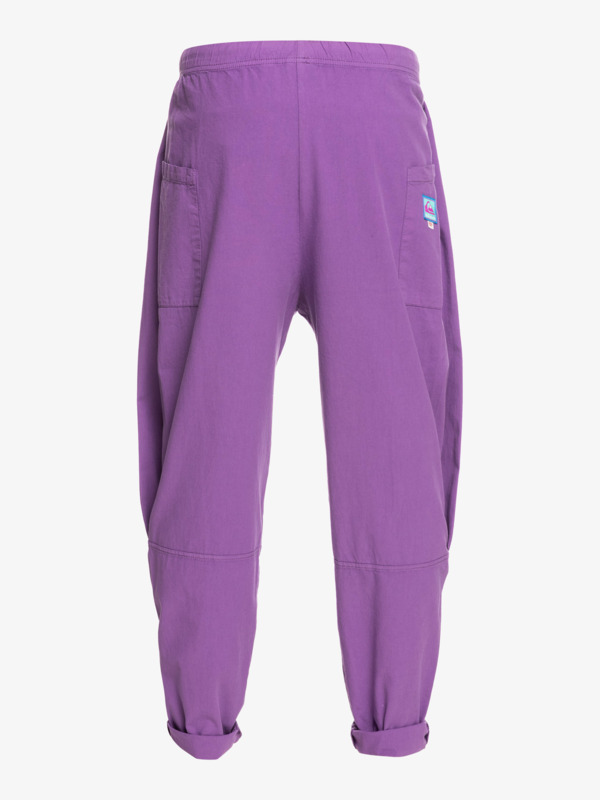 Quiksilver x Stranger Things The Argyle - Trousers for Men  EQYNP03267