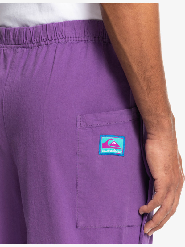 Quiksilver x Stranger Things The Argyle - Trousers for Men  EQYNP03267