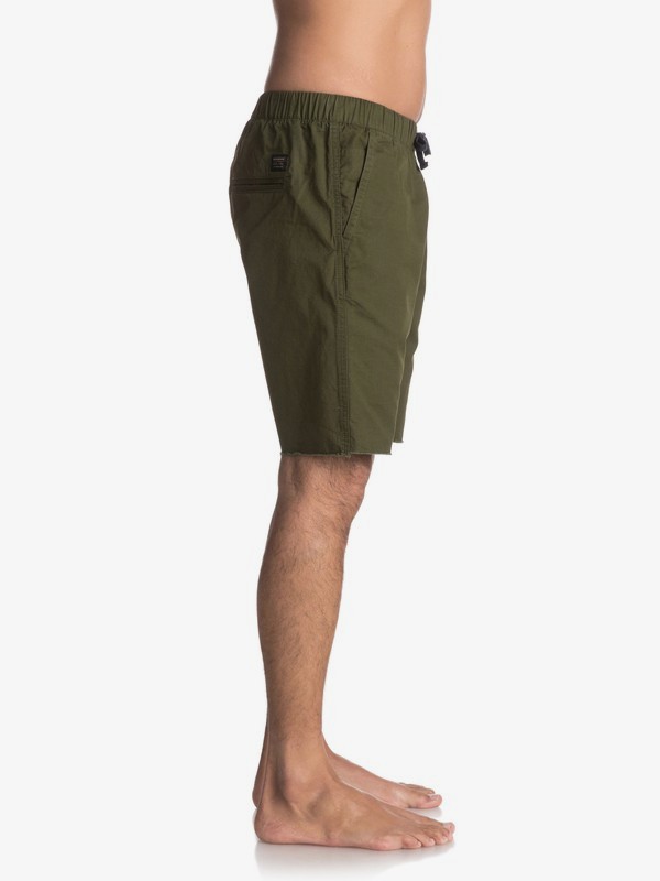 Fun Days 19" Shorts EQYWS03331 | Quiksilver