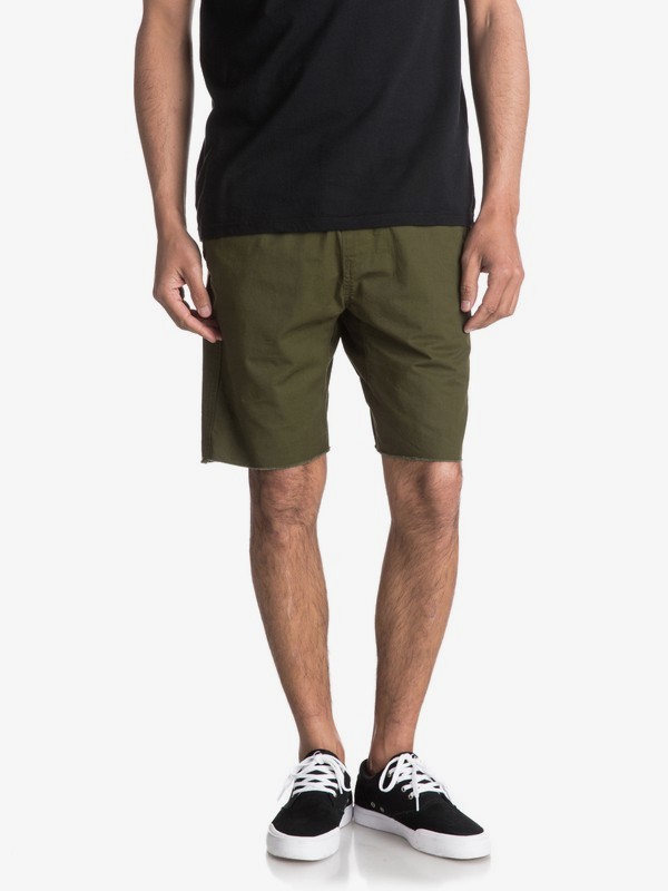 Fun Days 19" Shorts EQYWS03331 | Quiksilver