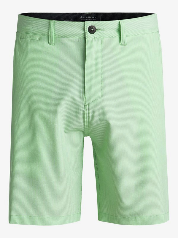 Union Pinstripe 19" Amphibian Board Shorts for Men 3613373384133