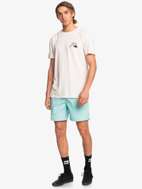 Taxer 17" - Elasticated Shorts for Men  EQYWS03610