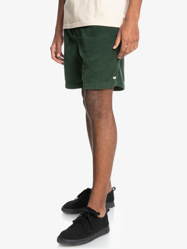 Taxer 17" - Elasticated Shorts for Men  EQYWS03740