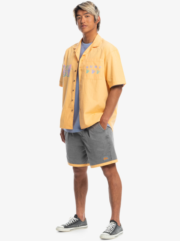 Quiksilver x Stranger Things The Mike 2022 - Pleated Shorts for Men  EQYWS03817