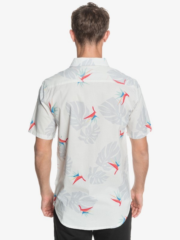 surfers paradise shirt