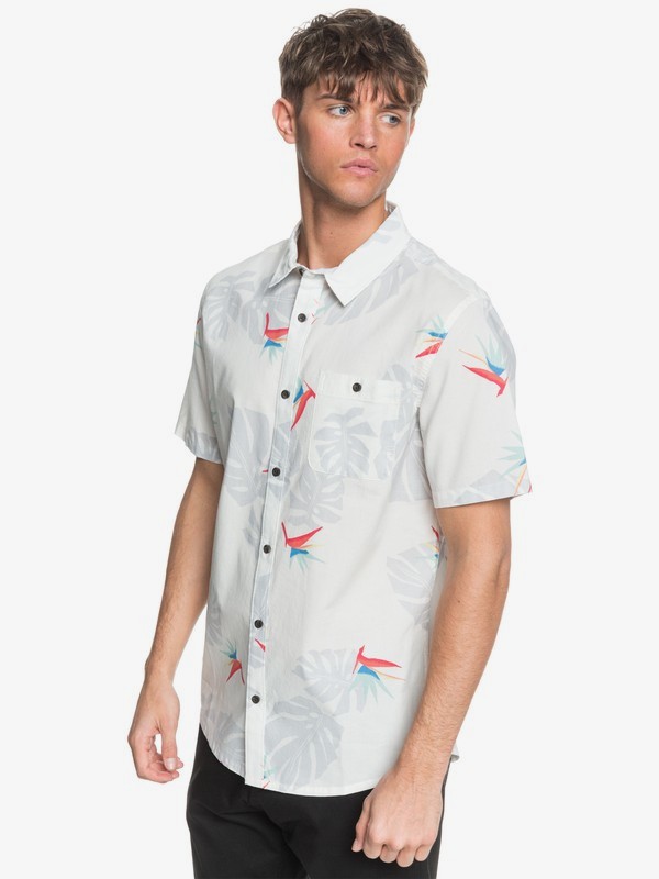 surfers paradise shirt