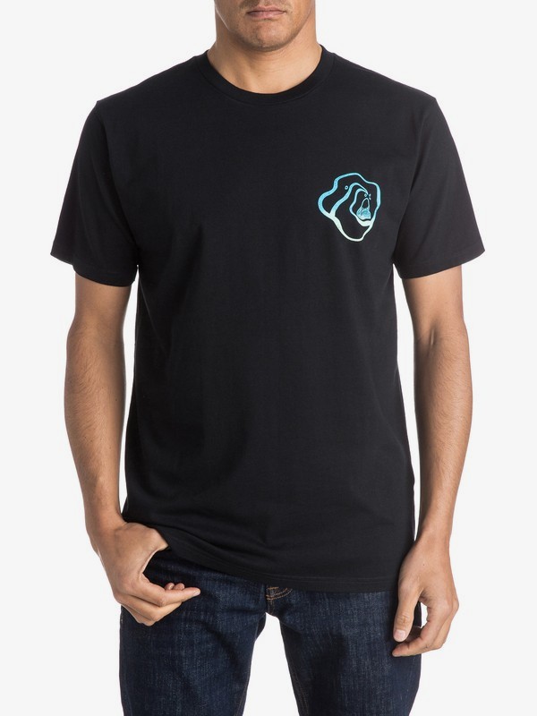 Roxy чей бренд. майка из нулевых мужская. Hemcci футболка мужская. Roxy футболка epic af word j tees. Quicksilver майка мужская.