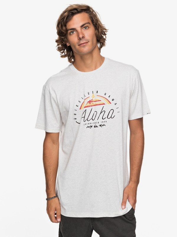 quiksilver, Футболка Heather King St, SNOW WHITE HEATHER (wbkh) 0 Футболка Heather King St Белый EQYZT04741 Quiksilver