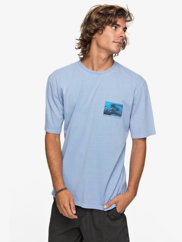 Durable La Rhune Tee 191274366517 | Quiksilver