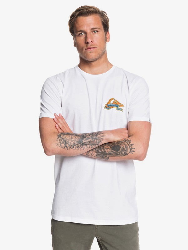 quiksilver, Футболка Tattered, WHITE (wbb0) 0 Футболка Tattered Белый EQYZT05255 Quiksilver