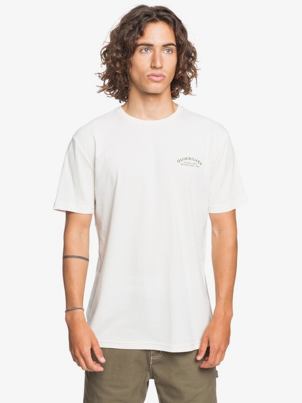 Picture Perfect - T-Shirt for Men | Quiksilver