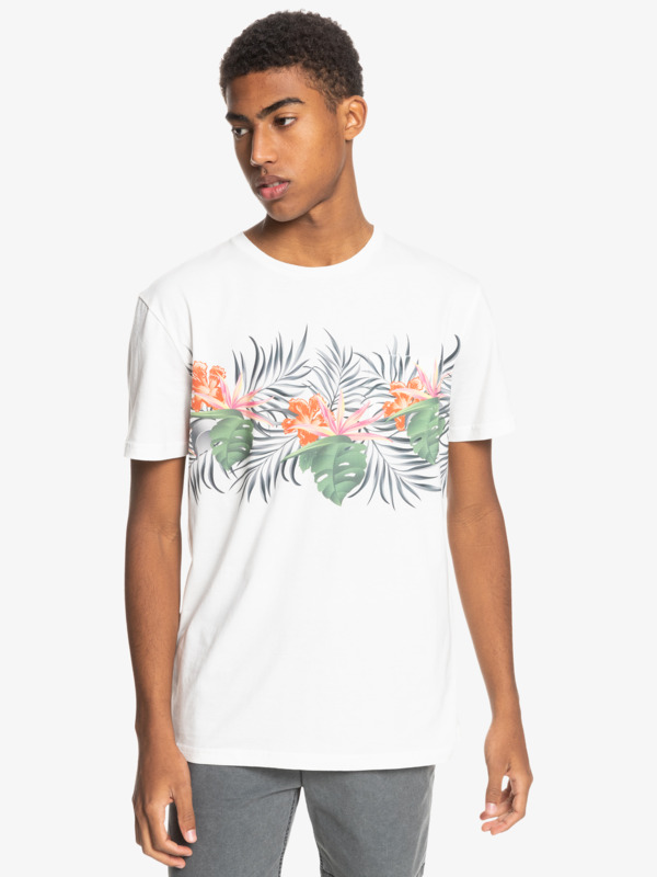 express graphic tees mens