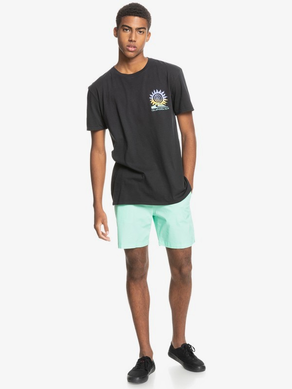 Island Pulse - Organic T-Shirt for Men  EQYZT06350