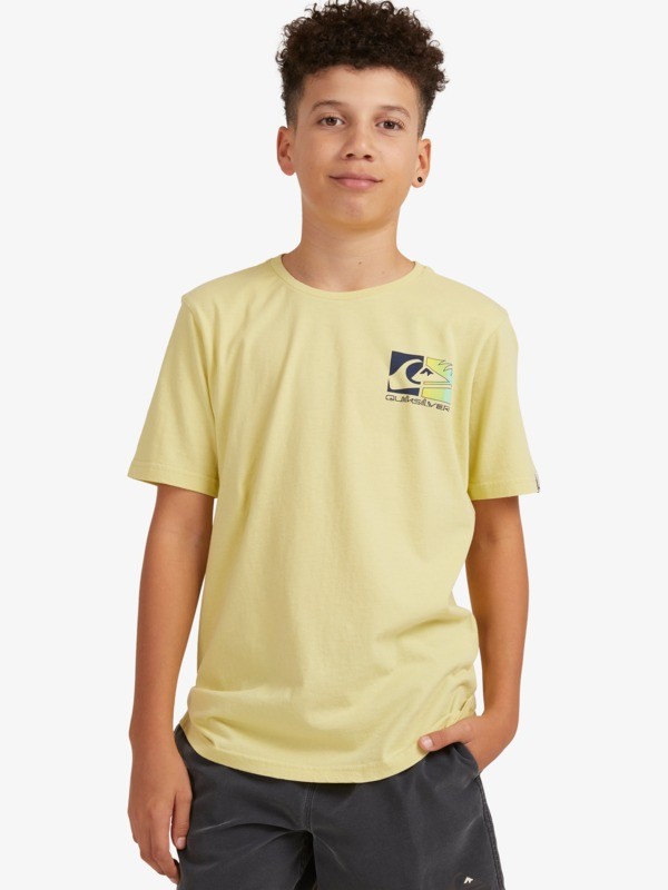 Boys 8-16 Colour Trip T-Shirt | Quiksilver