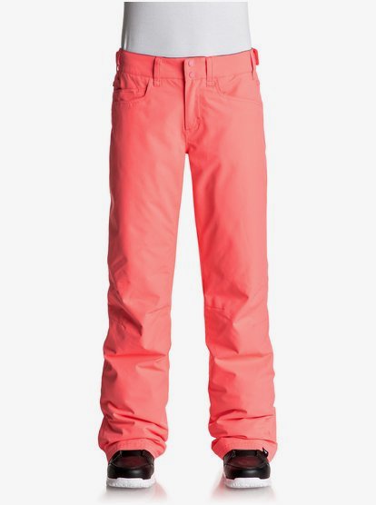 BRAND NEW Roxy Backyard Women’s Snowboard Pants Large