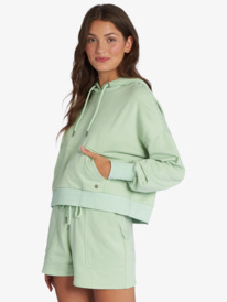 4 Afternoon Hike Pullover Hoodie  ARJFT04027 Roxy