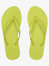 VIVA HIGHER  ARJL101134