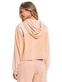 10 Game Changer Hoodie Brown ERJFT04640 Roxy