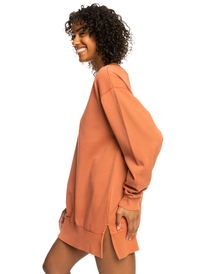 1 Meeting Up 2022 - Robe sweat oversize pour Femme Marron ERJKD03409 Roxy
