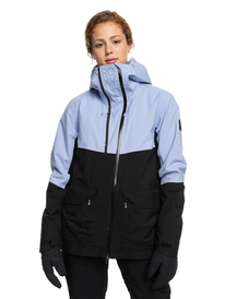 4 GORE-TEX® Stretch Pure Lines Insulated Snow Jacket Purple ERJTJ03397 Roxy