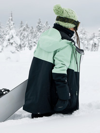 1 GORE-TEX® Stretch Purelines - Funktionelle Schneejacke für Frauen Grün ERJTJ03404 Roxy