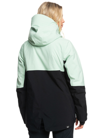 19 GORE-TEX® Stretch Purelines - Funktionelle Schneejacke für Frauen Grün ERJTJ03404 Roxy