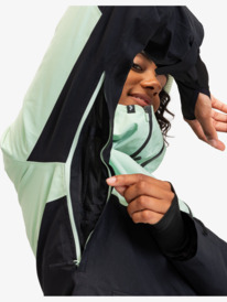 13 GORE-TEX® Stretch Purelines - Funktionelle Schneejacke für Frauen Grün ERJTJ03404 Roxy