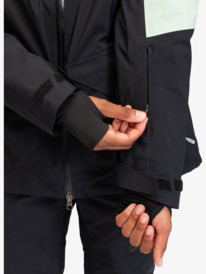 15 GORE-TEX® Stretch Purelines - Funktionelle Schneejacke für Frauen Grün ERJTJ03404 Roxy
