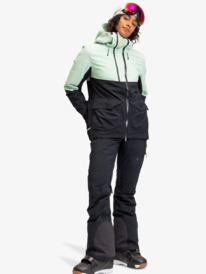 18 GORE-TEX® Stretch Purelines - Funktionelle Schneejacke für Frauen Grün ERJTJ03404 Roxy